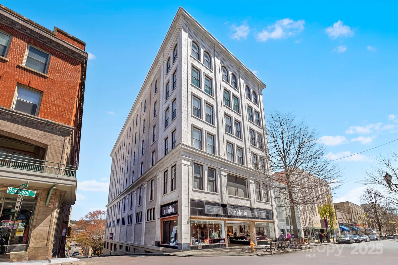 Property Photo: 84 Walnut Street 203 NC 28801