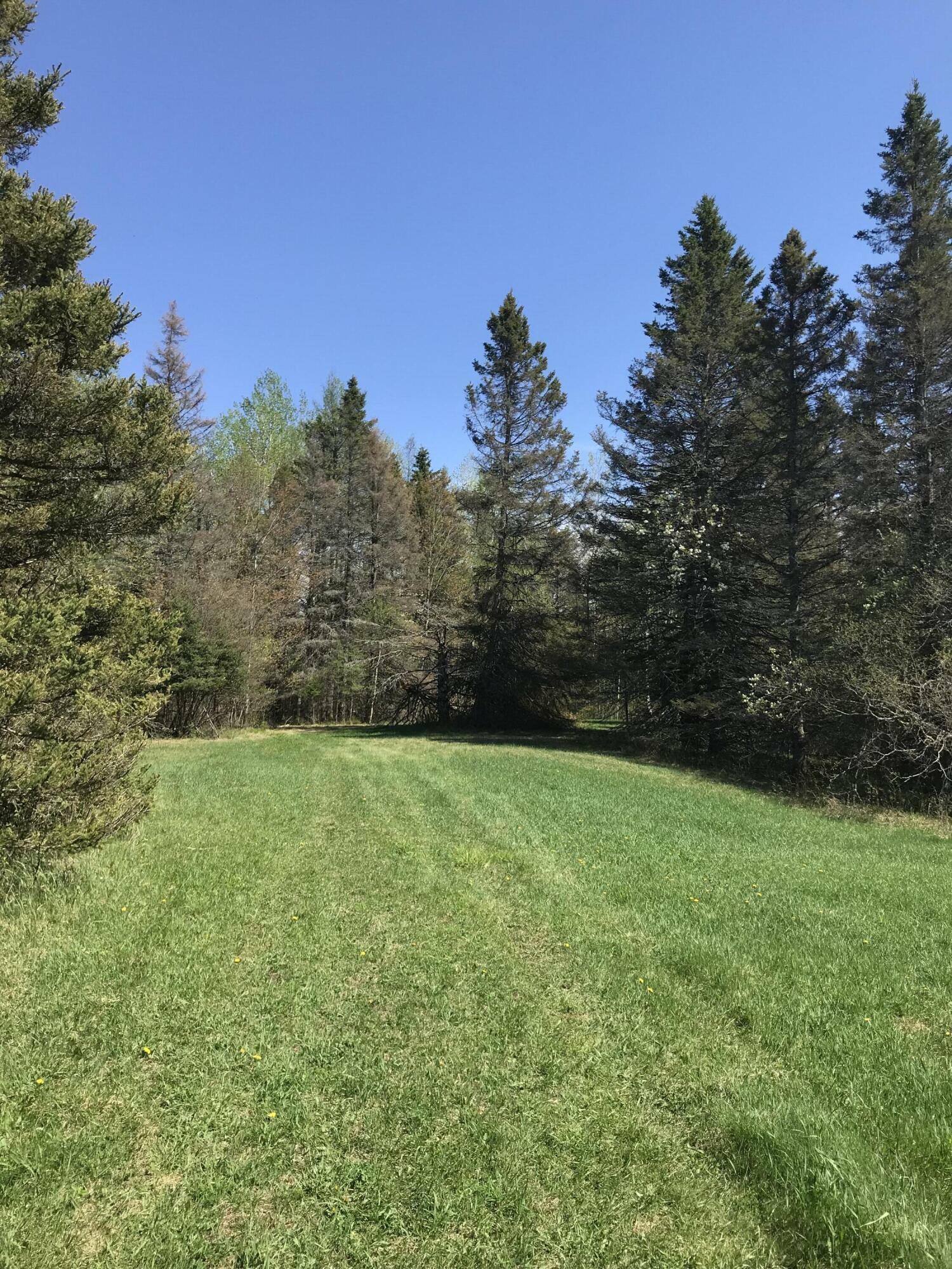 Property Photo: Tbd E Sand Ridge Rd MI 49736