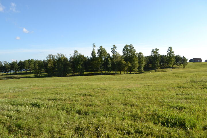 Property Photo: 0 Sequoyah Cove TN 37347