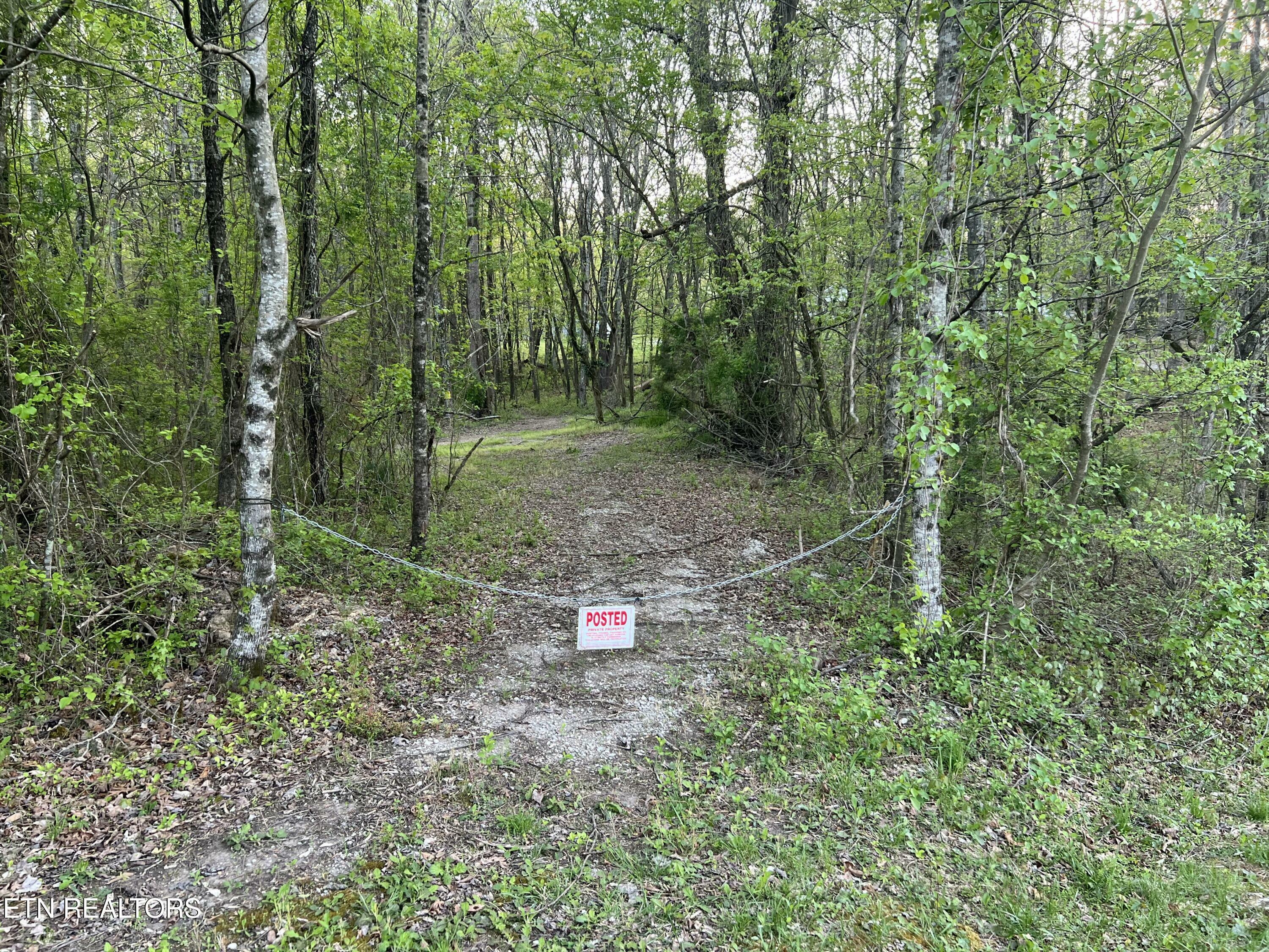Property Photo: 246 Burke Mill Rd TN 37854