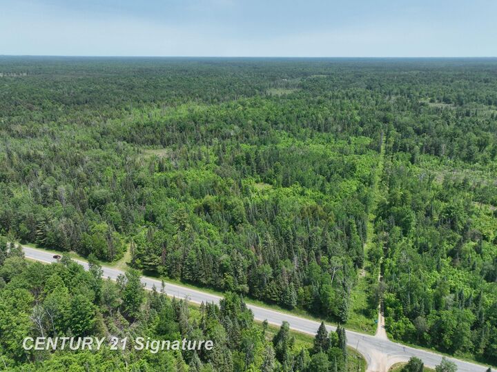 Property Photo: 6002 Wildwood Drive MI 48610