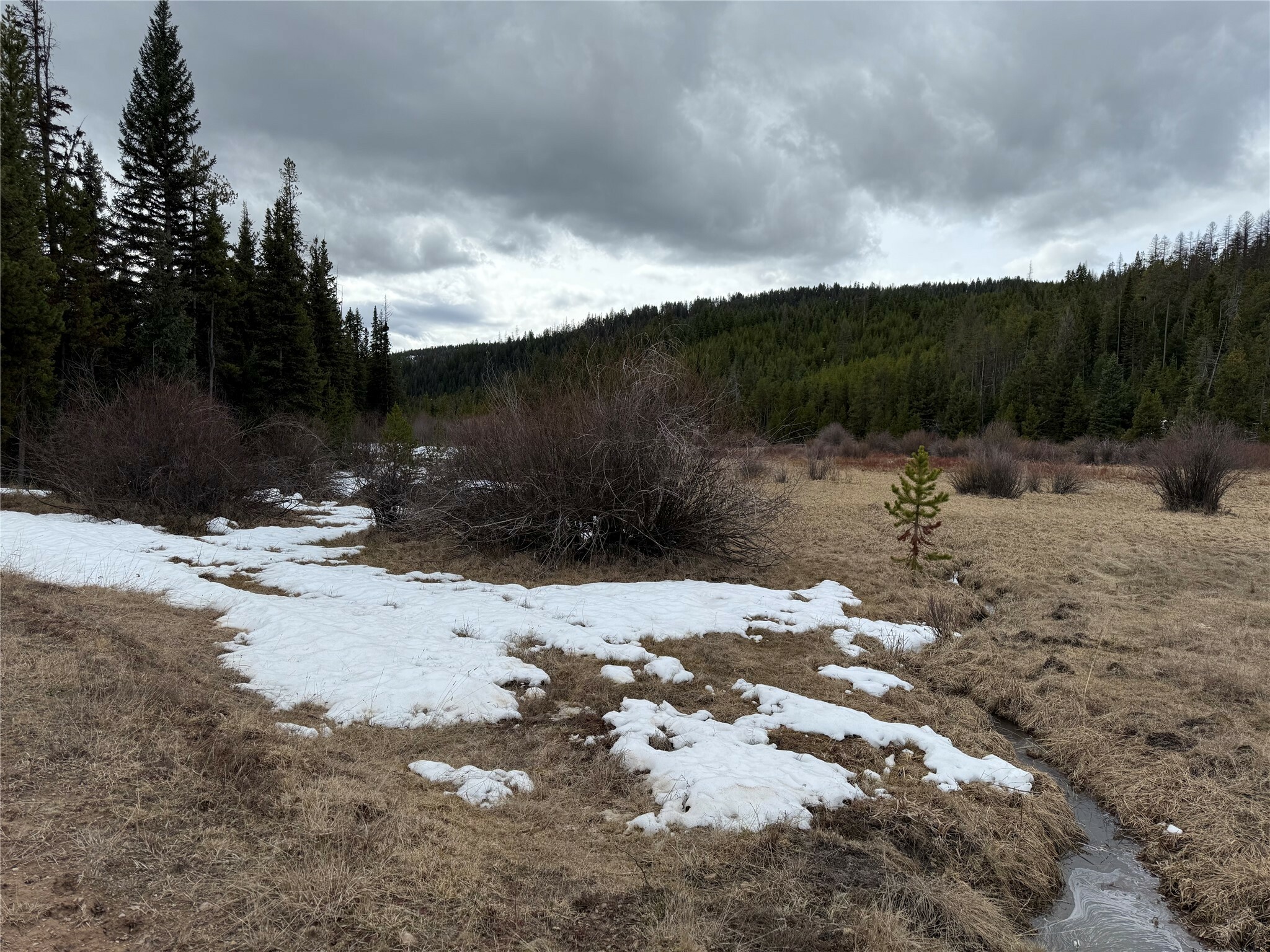 Property Photo: 26043 Mill Creek Road MT 59834