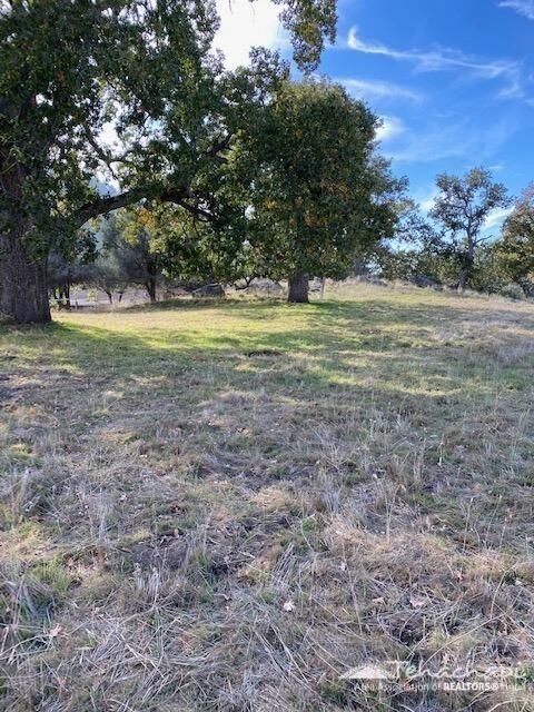 Property Photo:  0 High Echelon Court  CA 93561 