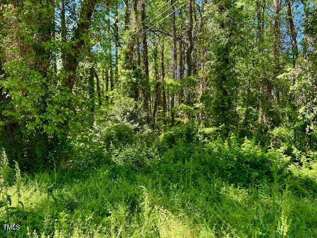 Property Photo: 00 Young Avenue NC 27536