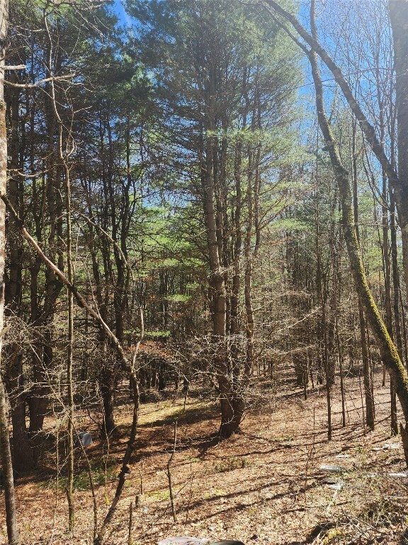 Property Photo:  234 Tarbell Hill Road  NY 13754 