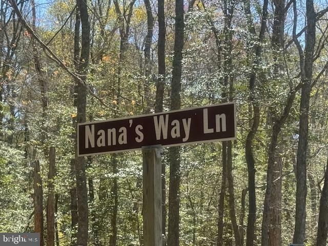 Property Photo: 12203 Nanas Way Lane MD 21842