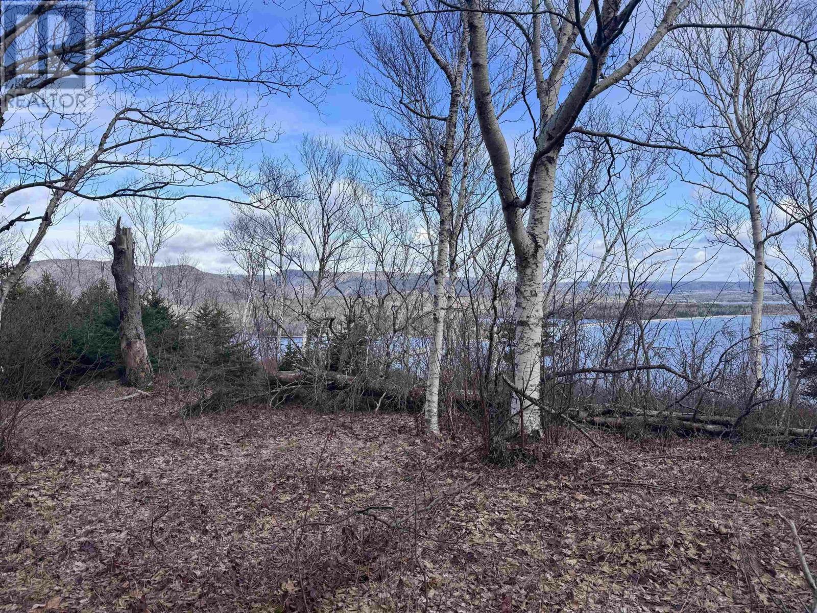 Property Photo:  Cabot Trail  NS B0C 1L0 