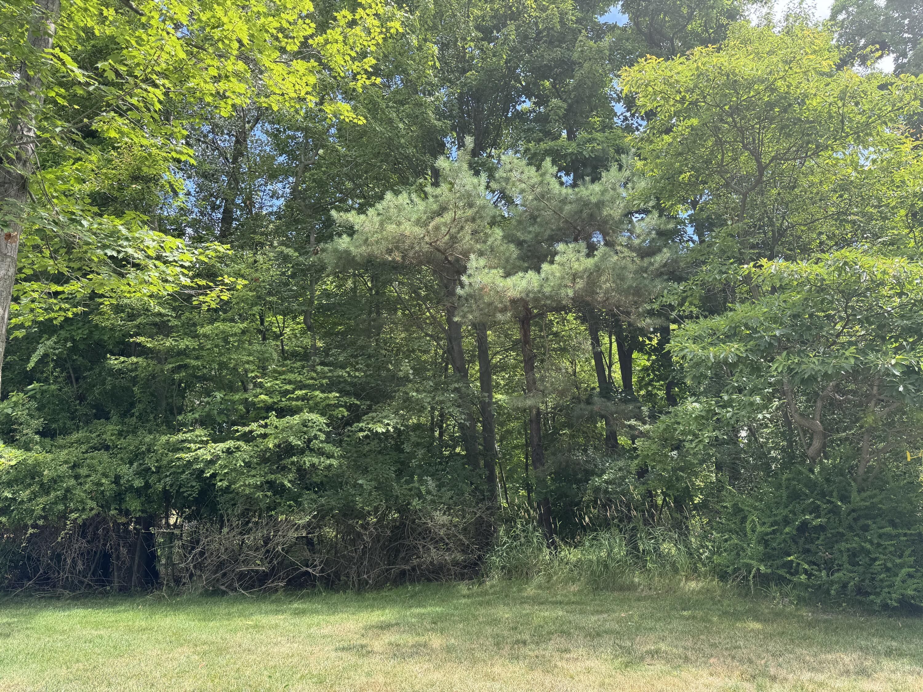 Property Photo:  125 W Shore Woods  MI 49406 