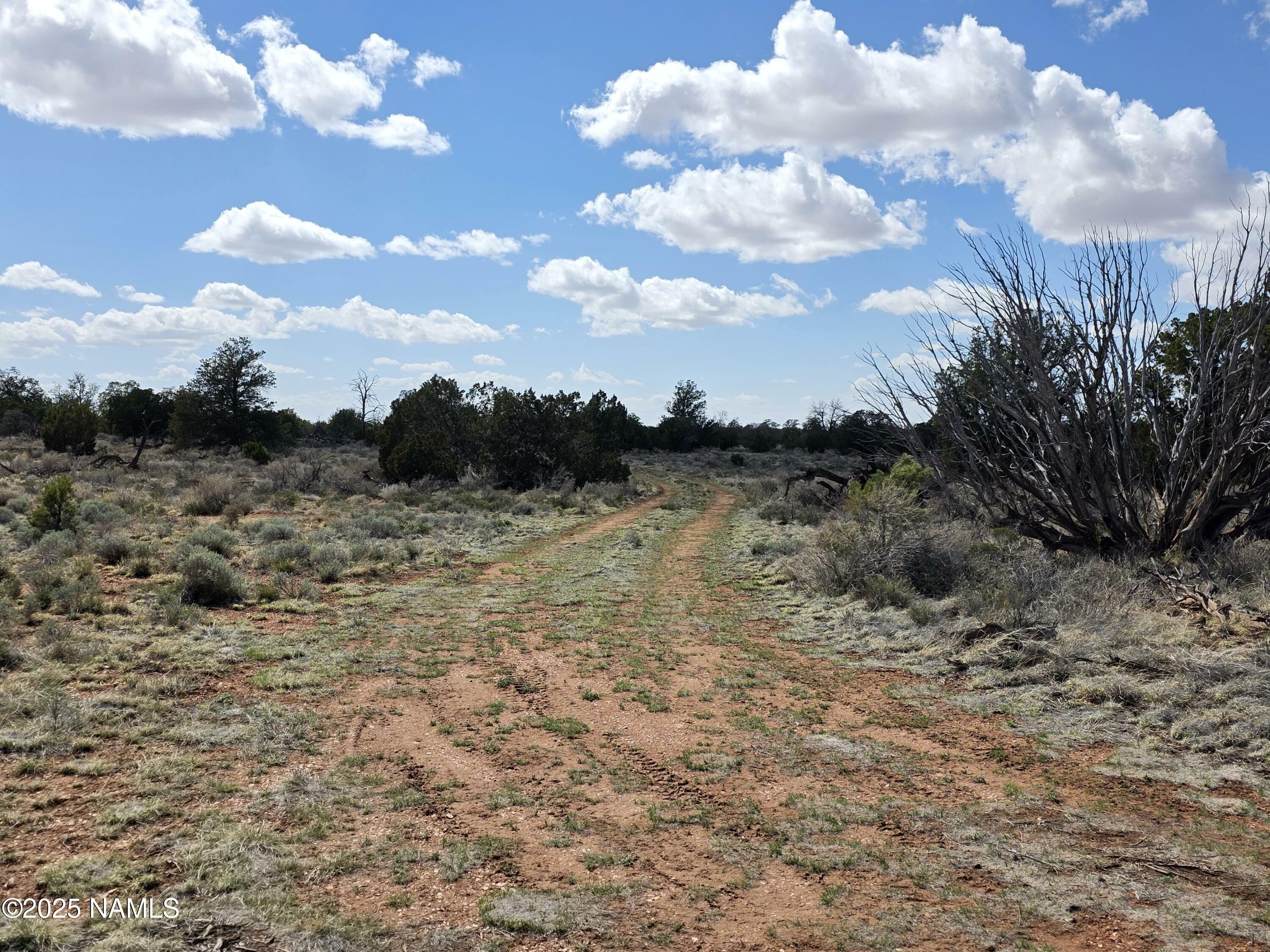 Property Photo:  Parcel # 50106027 / Wyandotte Rd  AZ 86046 