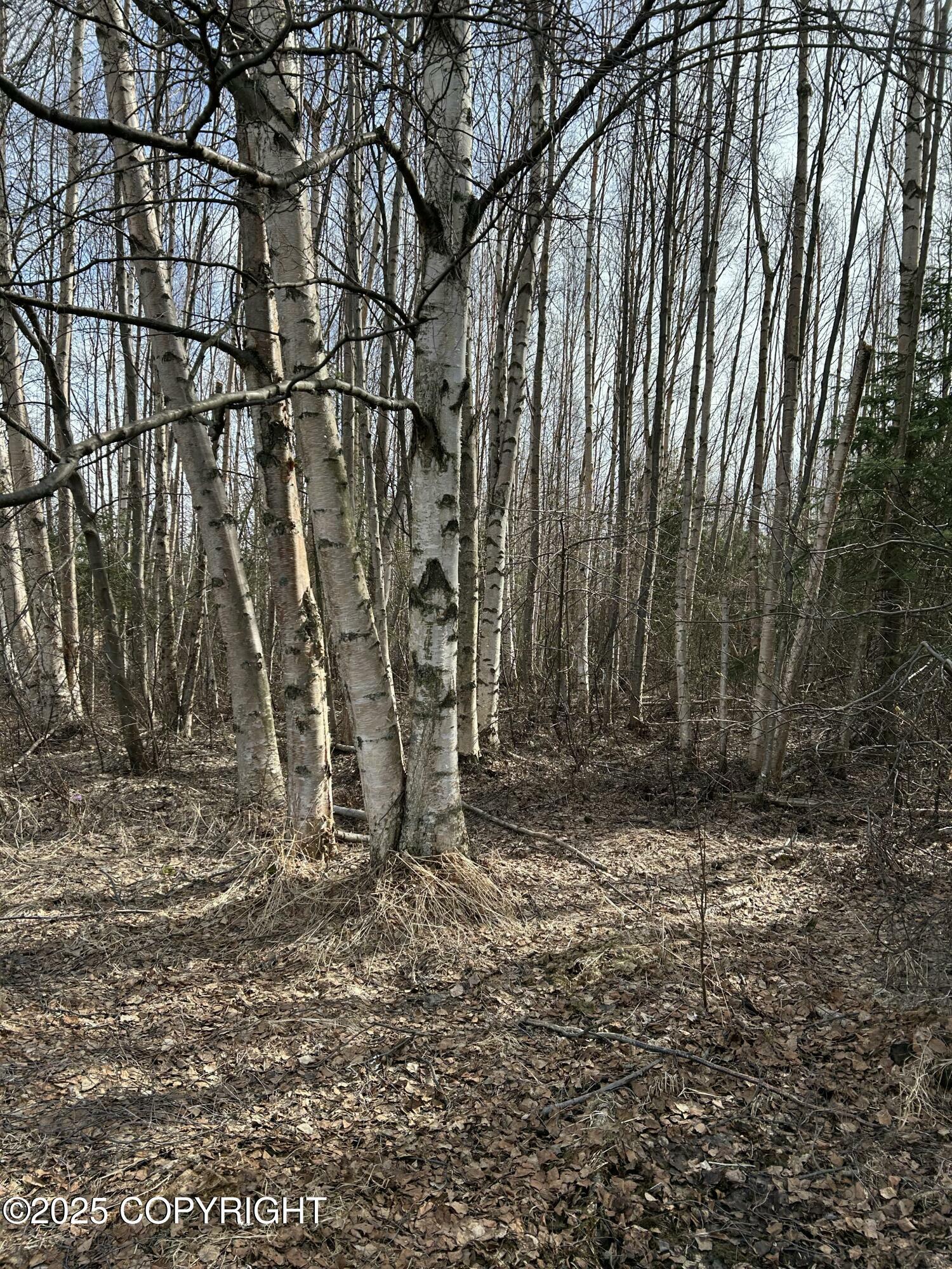 Property Photo: L19 B2 Chugach Meadows AK 99507