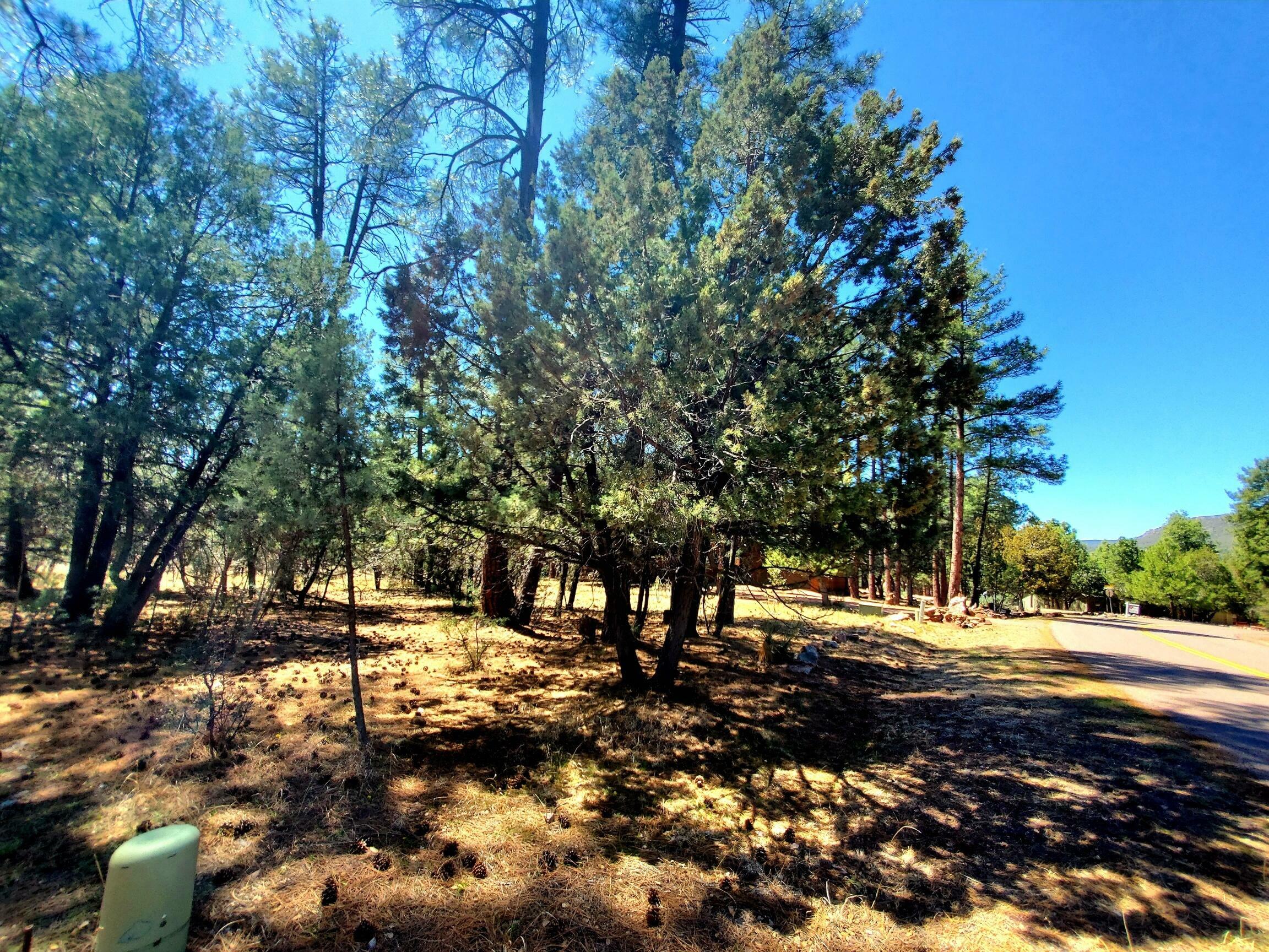 Property Photo: 87 N Mistletoe AZ 85544