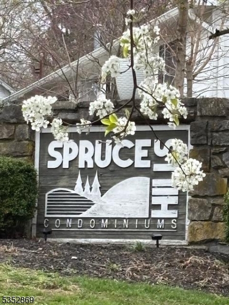 1004 Spruce Hills Dr  Glen Gardner Boro NJ 08826 photo