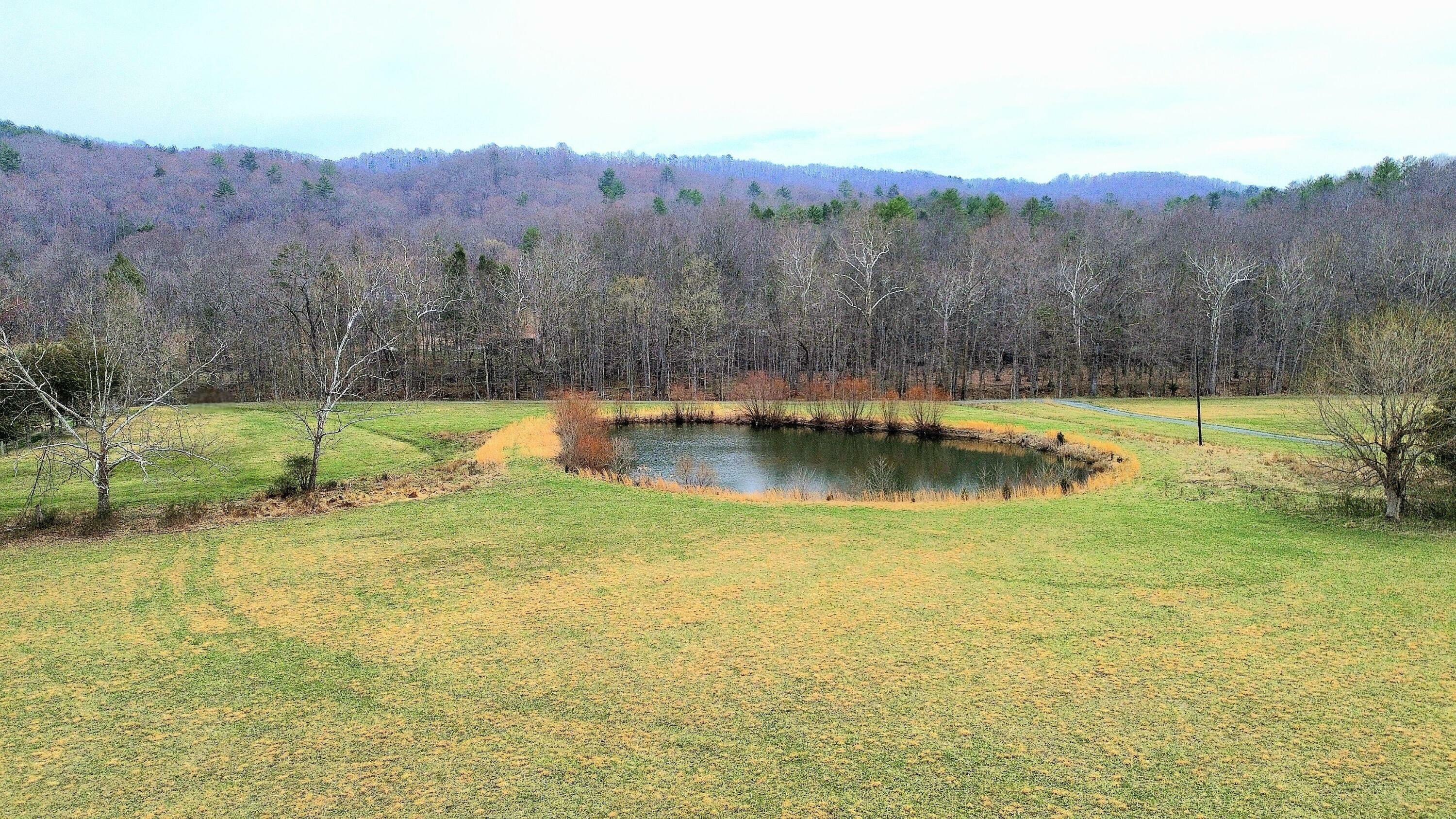 Property Photo: 130 Lost Forest Acres WV 24970