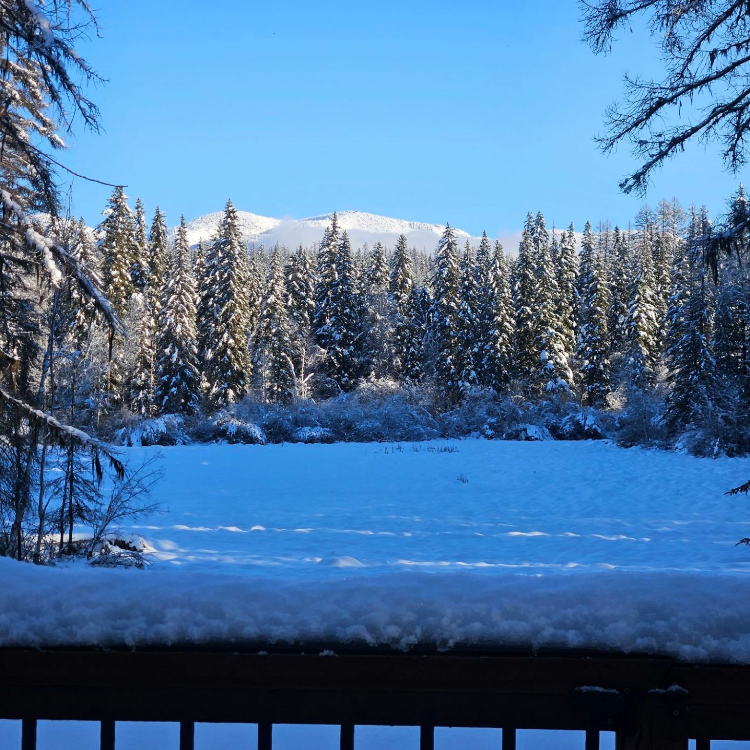 Property Photo: 675 Beaver Lake Road MT 59937