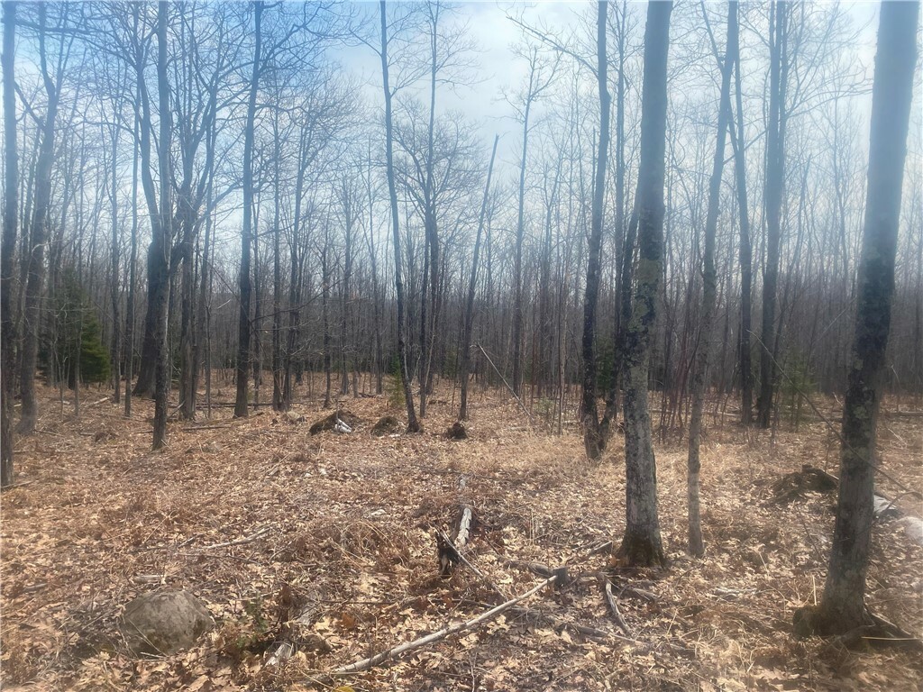 Property Photo: Tbd Old 13 Rd WI 54844