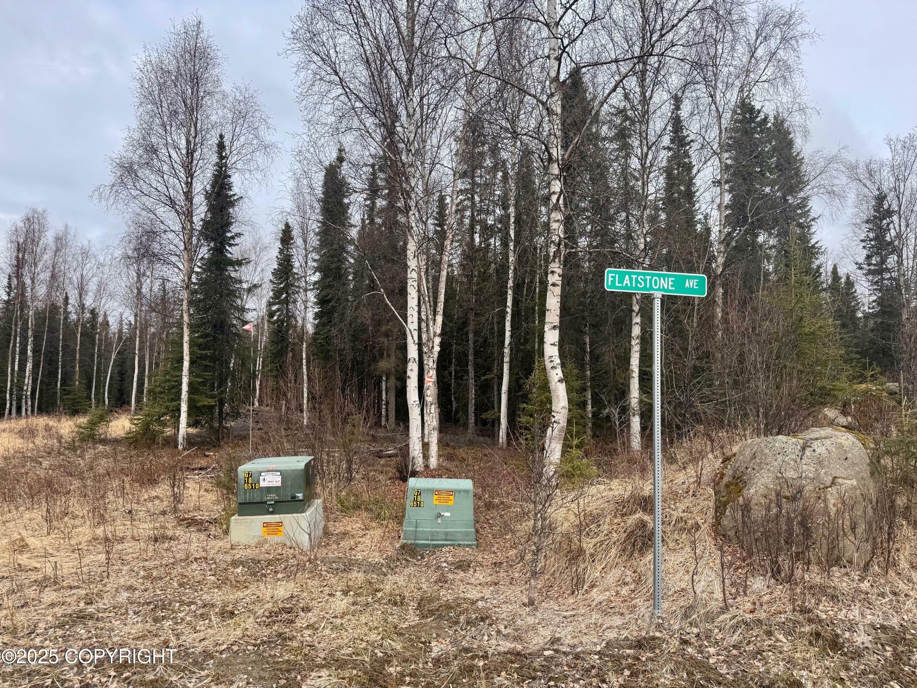 Property Photo: 39204 Flatstone Avenue AK 99669