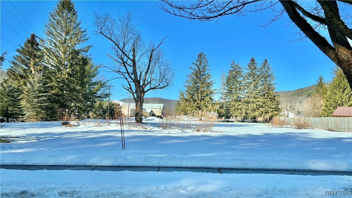 Property Photo:  13 Elizabeth Street  NY 14731 