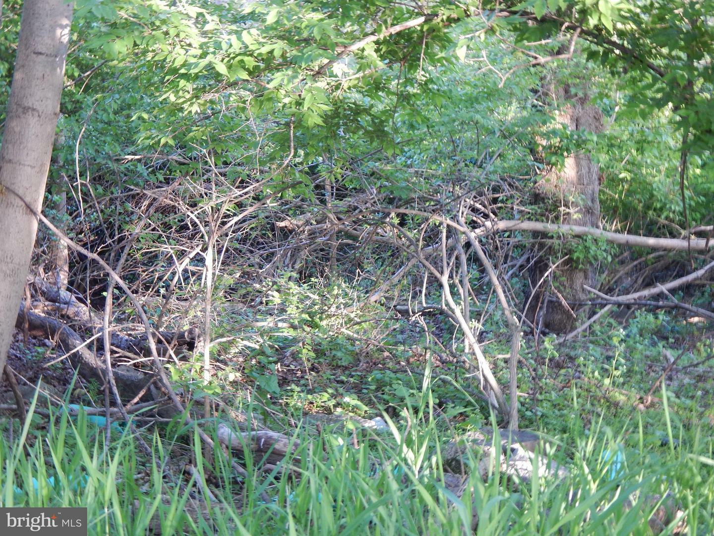 Property Photo: Lot 92 Siebert Street WV 25404