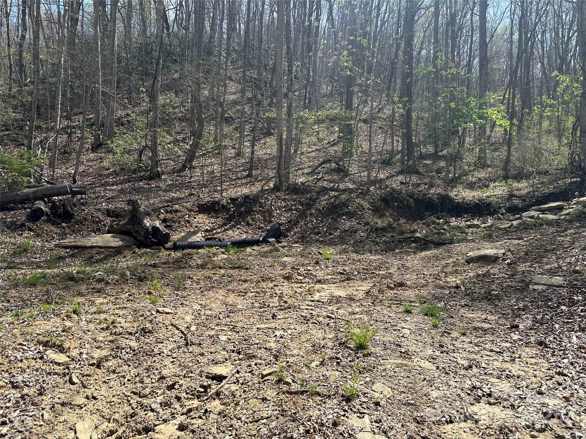 Property Photo:  Tbd Sequoyah Drive  NC 28785 