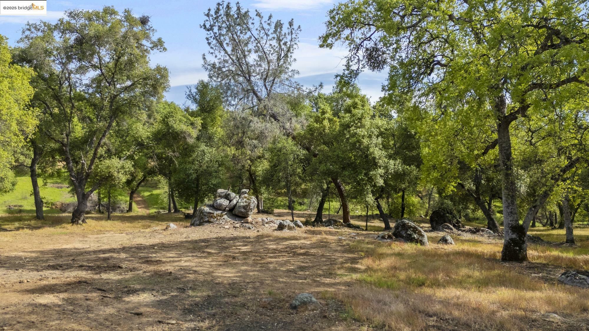 Property Photo: Lot 9 Henry D Court CA 95370