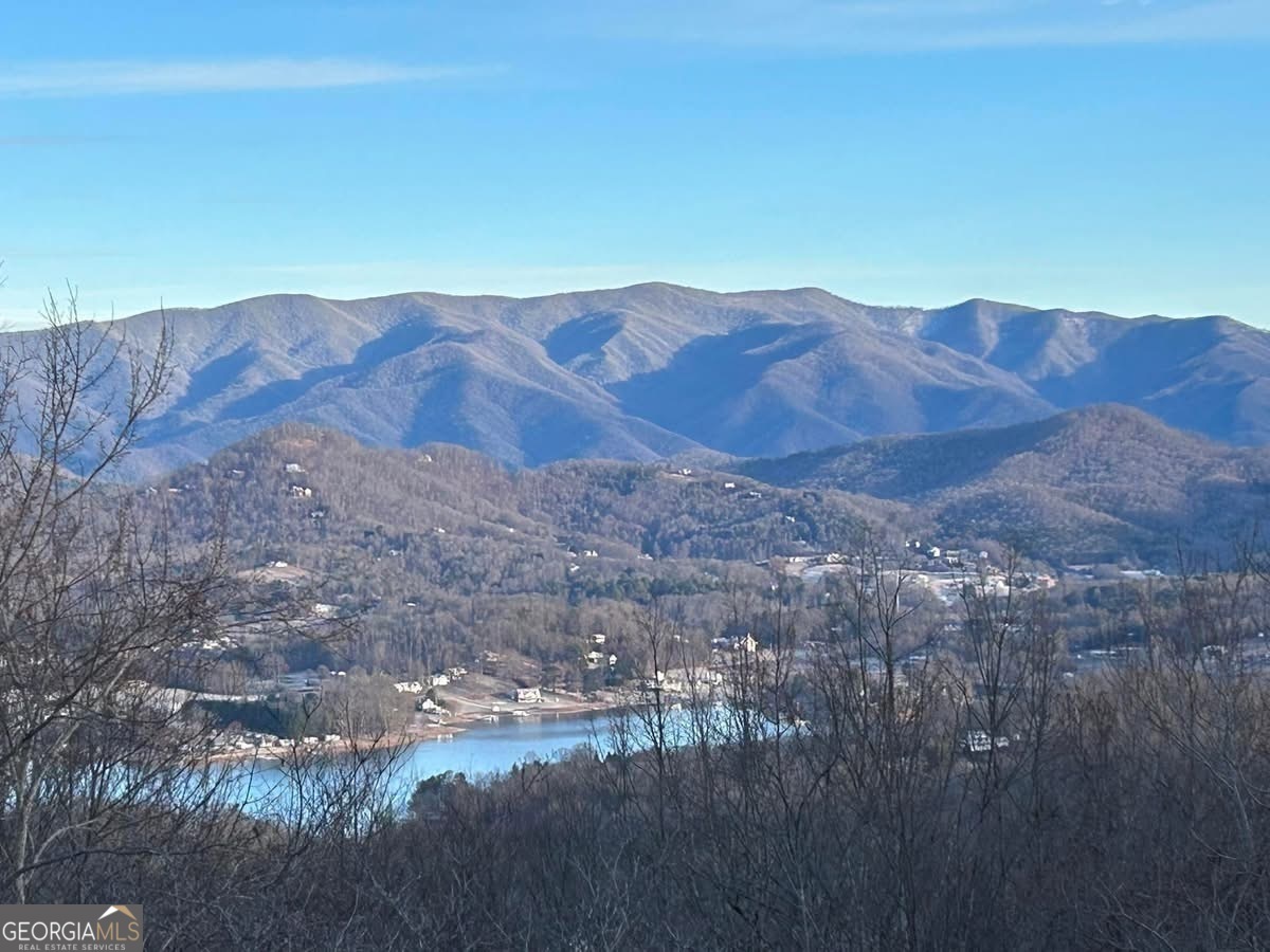 Property Photo: 62 Eagles View Court NC 28904