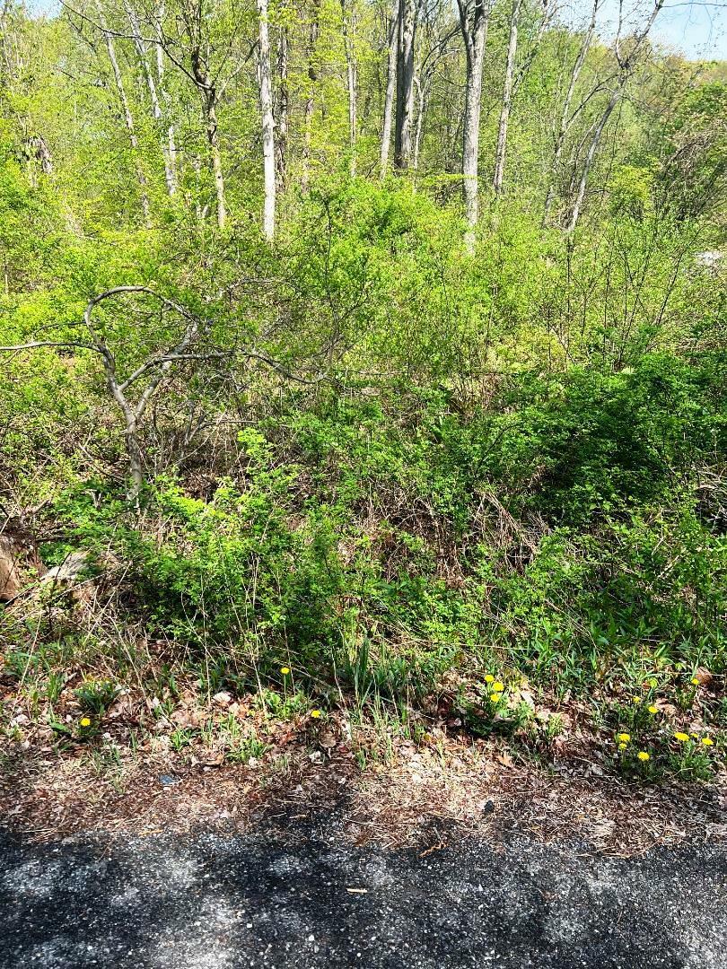 Property Photo: Lot 73 Brookside Road NY 10579