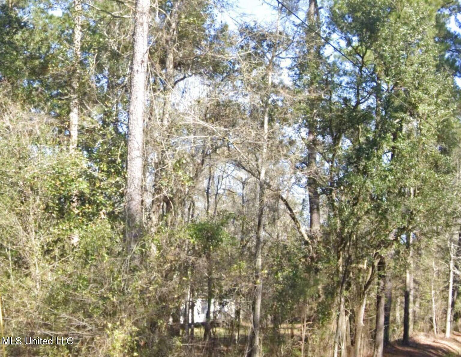 Property Photo: Whites Road MS 39572