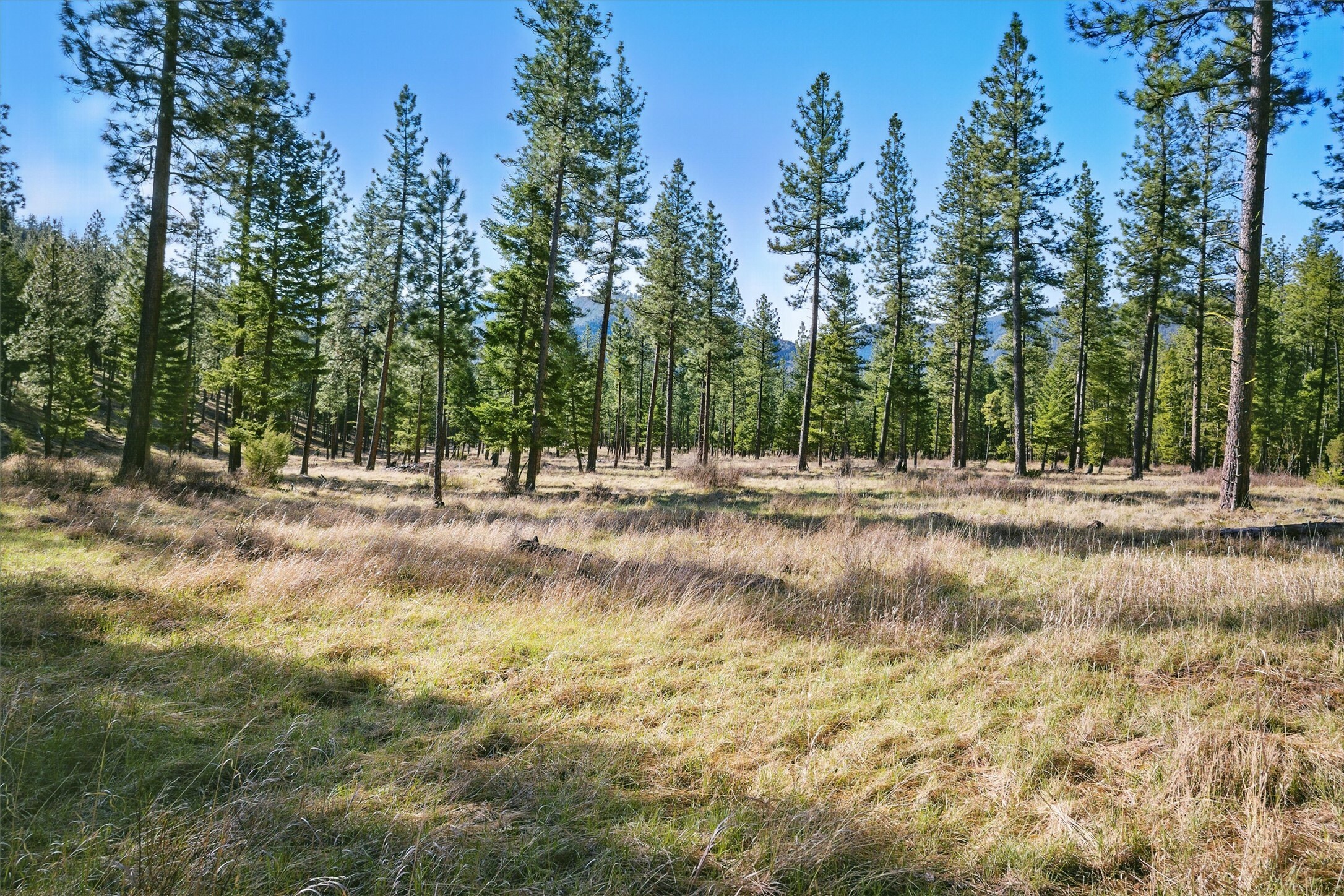 13902 Highland Trail  Alberton MT 59820 photo