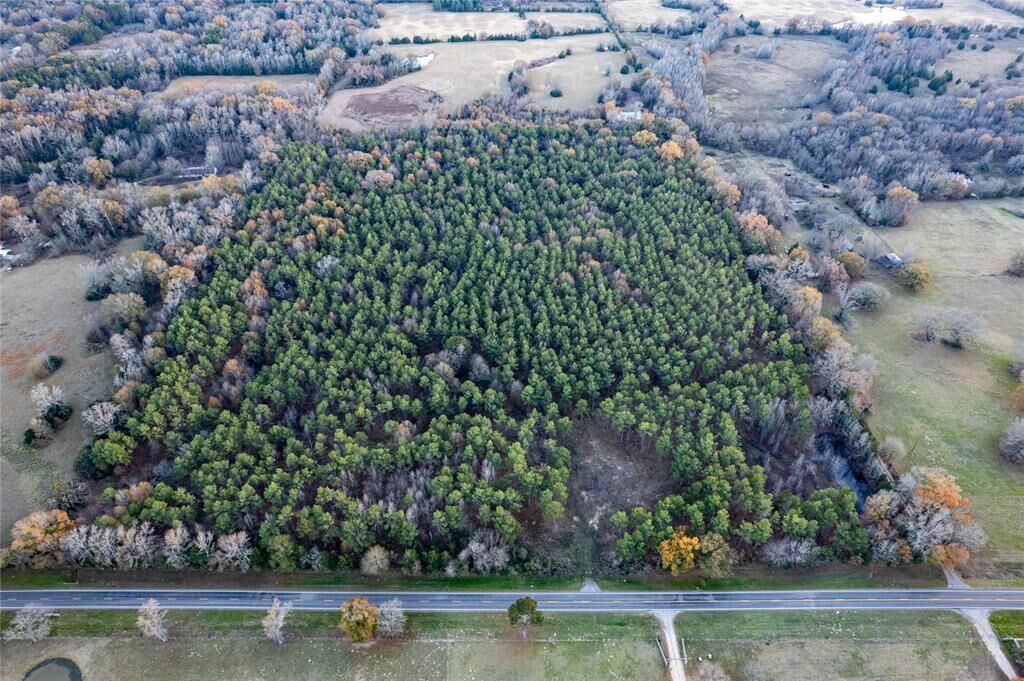 Property Photo:  00 Farm Road 909  TX 75417 