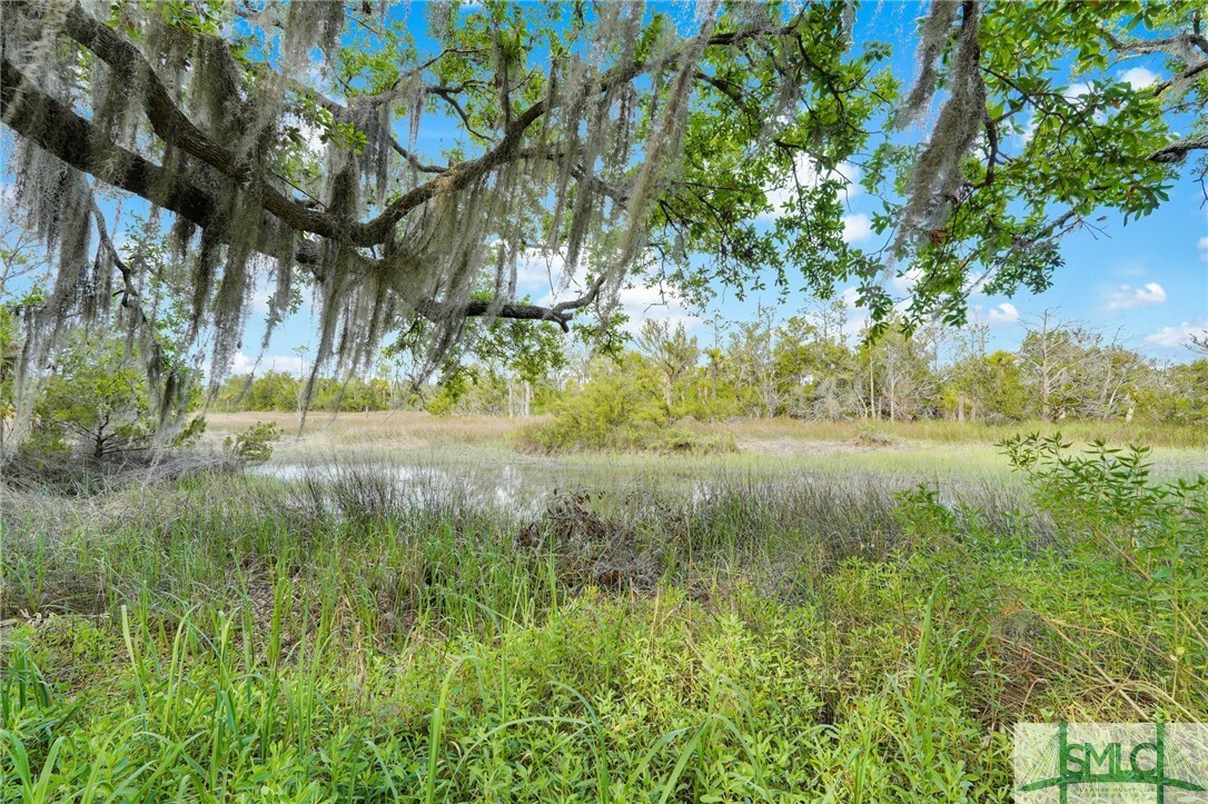 Property Photo:  45 Herons Nest  GA 31410 