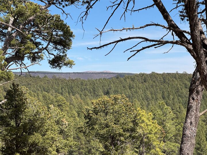 Property Photo: Lot 26 Birds Of A Feather NM 87552