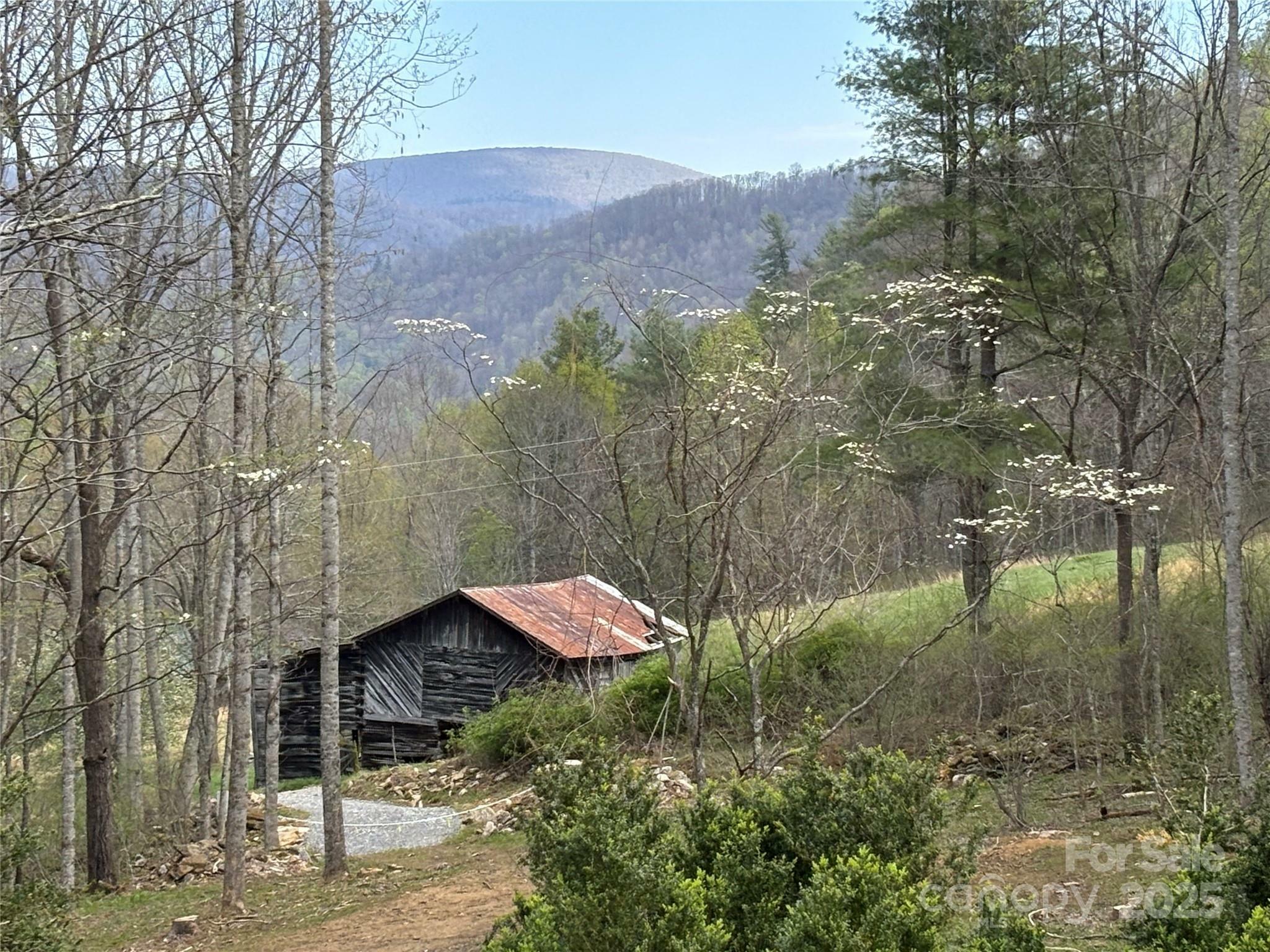 Property Photo:  (East Lot) Tbd Silas Branch Road  NC 28714 