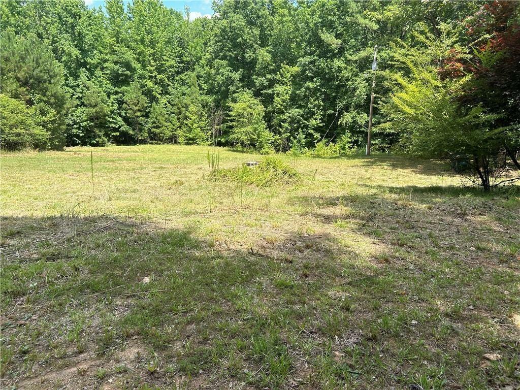 Property Photo: 289 Brandy GA 30263