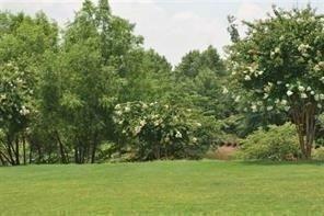 Property Photo: 556 Windstone Trail GA 30004