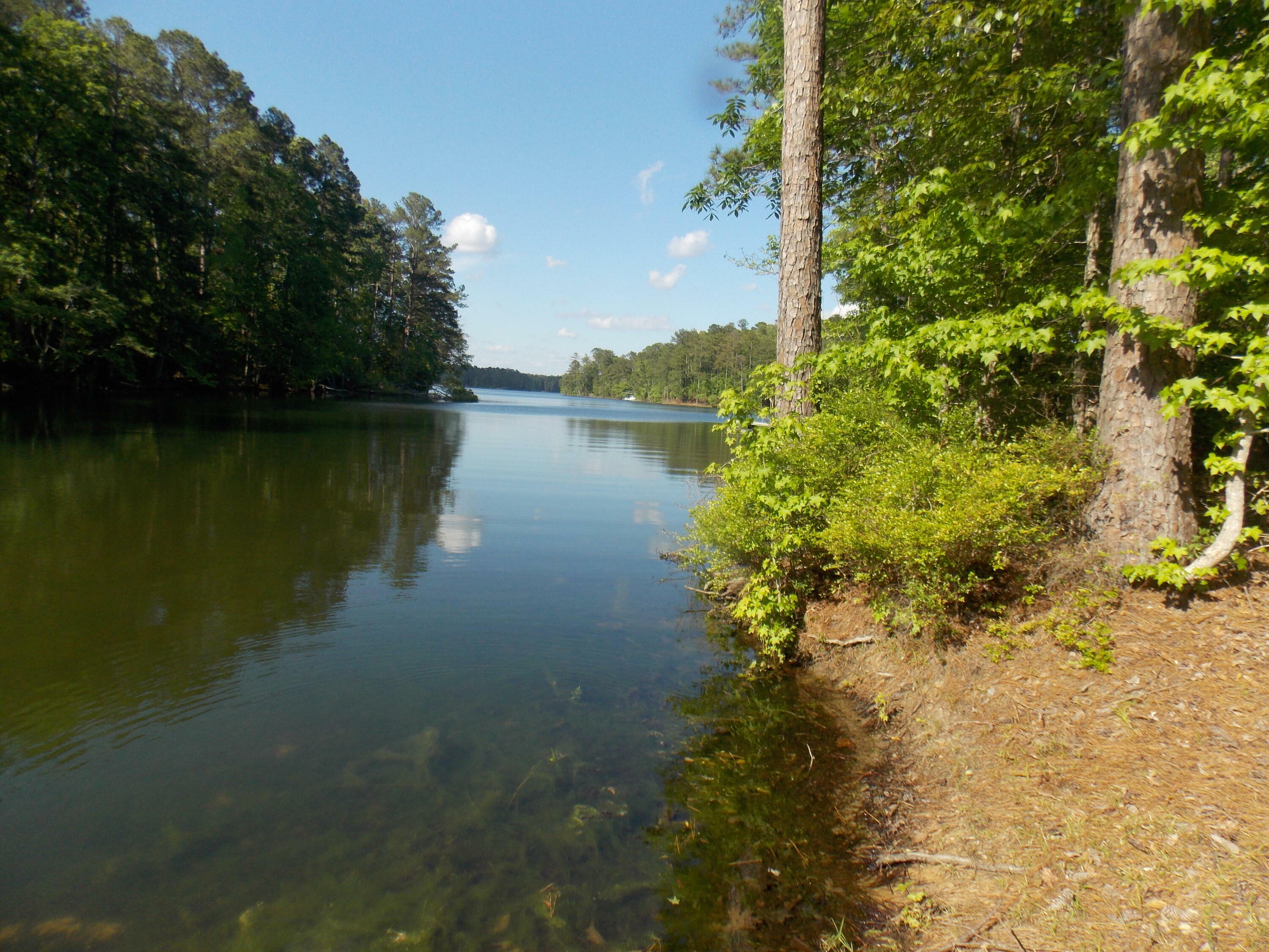Property Photo: 13 Riverview Ct GA 30817
