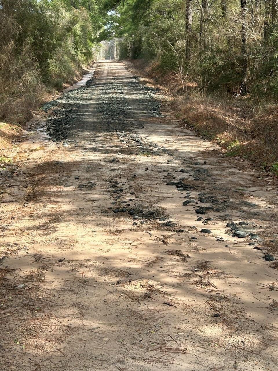 Property Photo: Tract 3 Lloyd Walker Road TX 75949