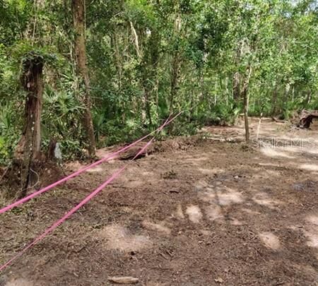 Property Photo:  5212 NW 19th Street  FL 32653 