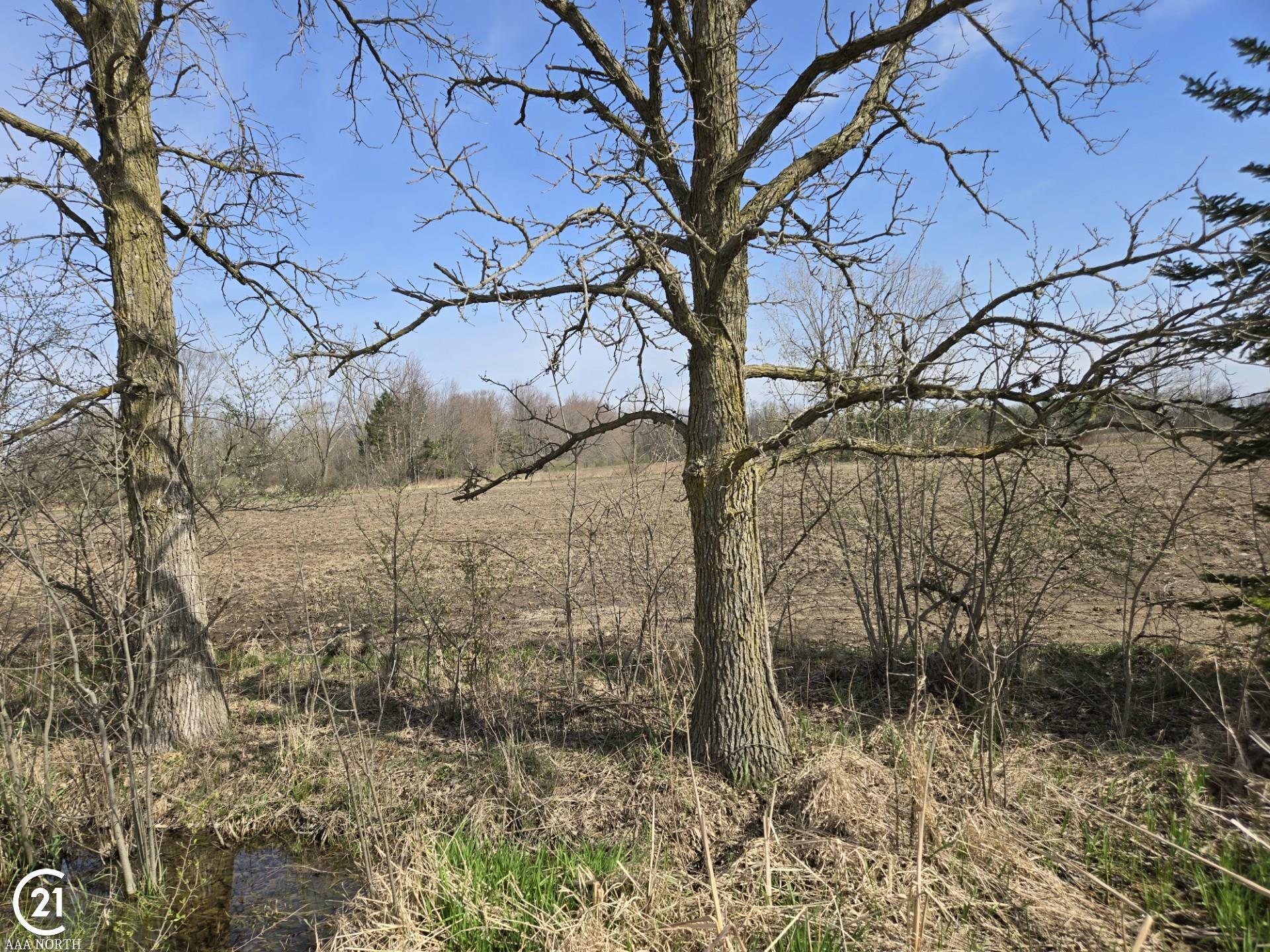 Property Photo: 0 Weber (Lot C) Road MI 48063