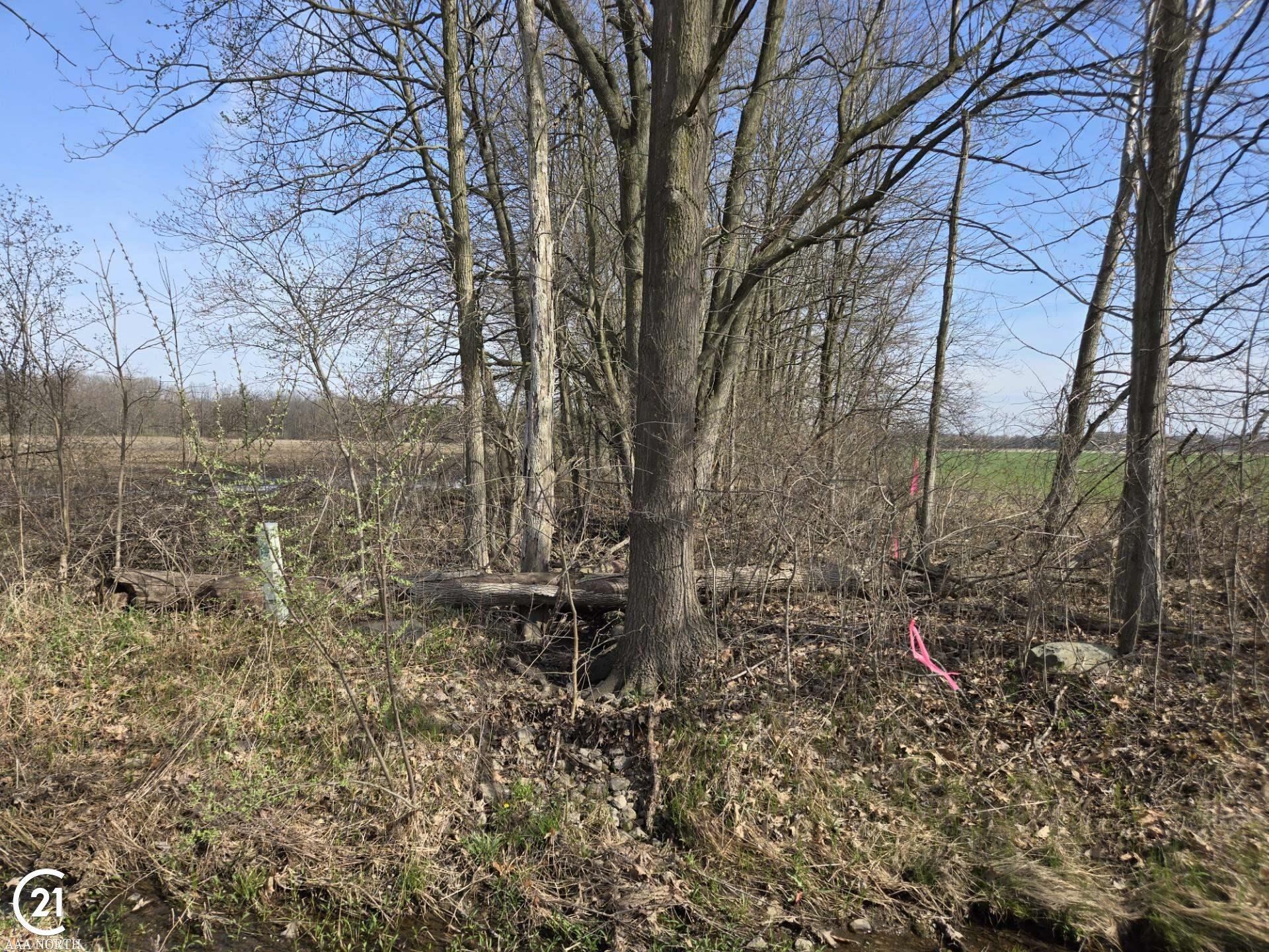 Property Photo: 0 Weber (Lot B) Road MI 48063