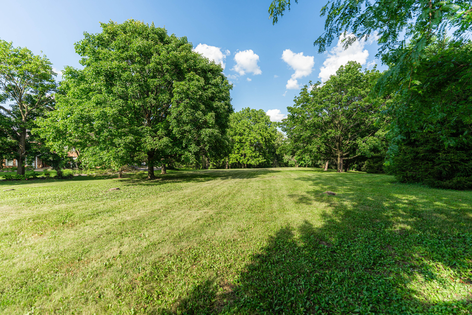 Property Photo: 36W172 Silver Glen Court IL 60175
