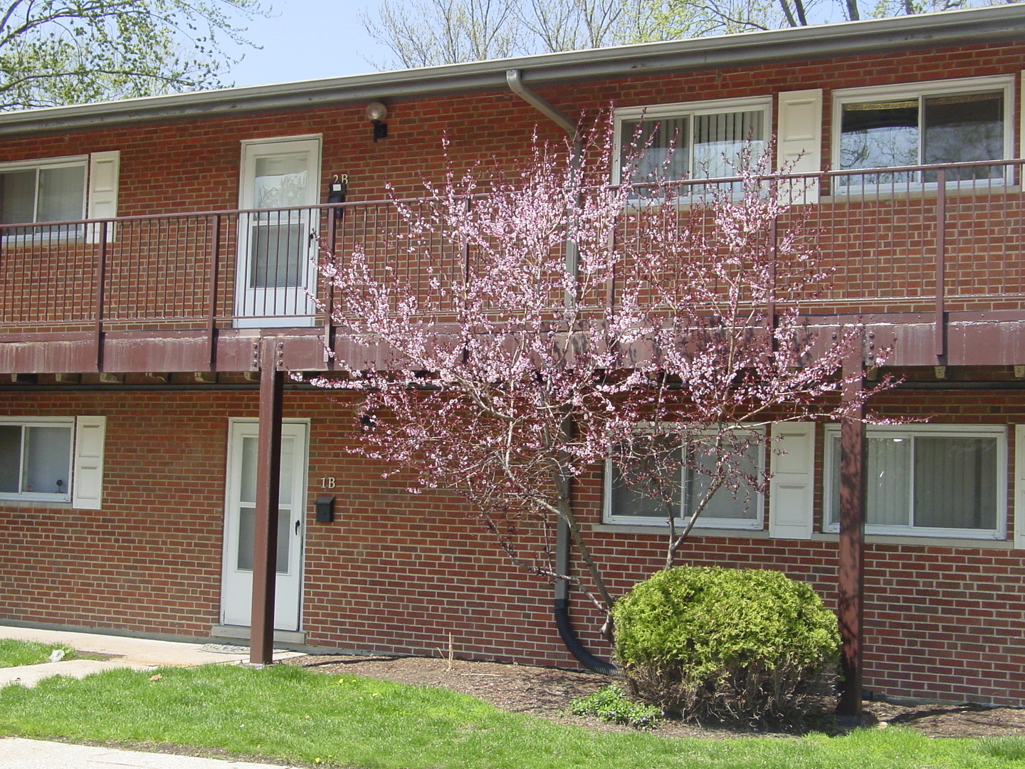 Property Photo:  1810 W Hatherleigh Court 2B  IL 60056 