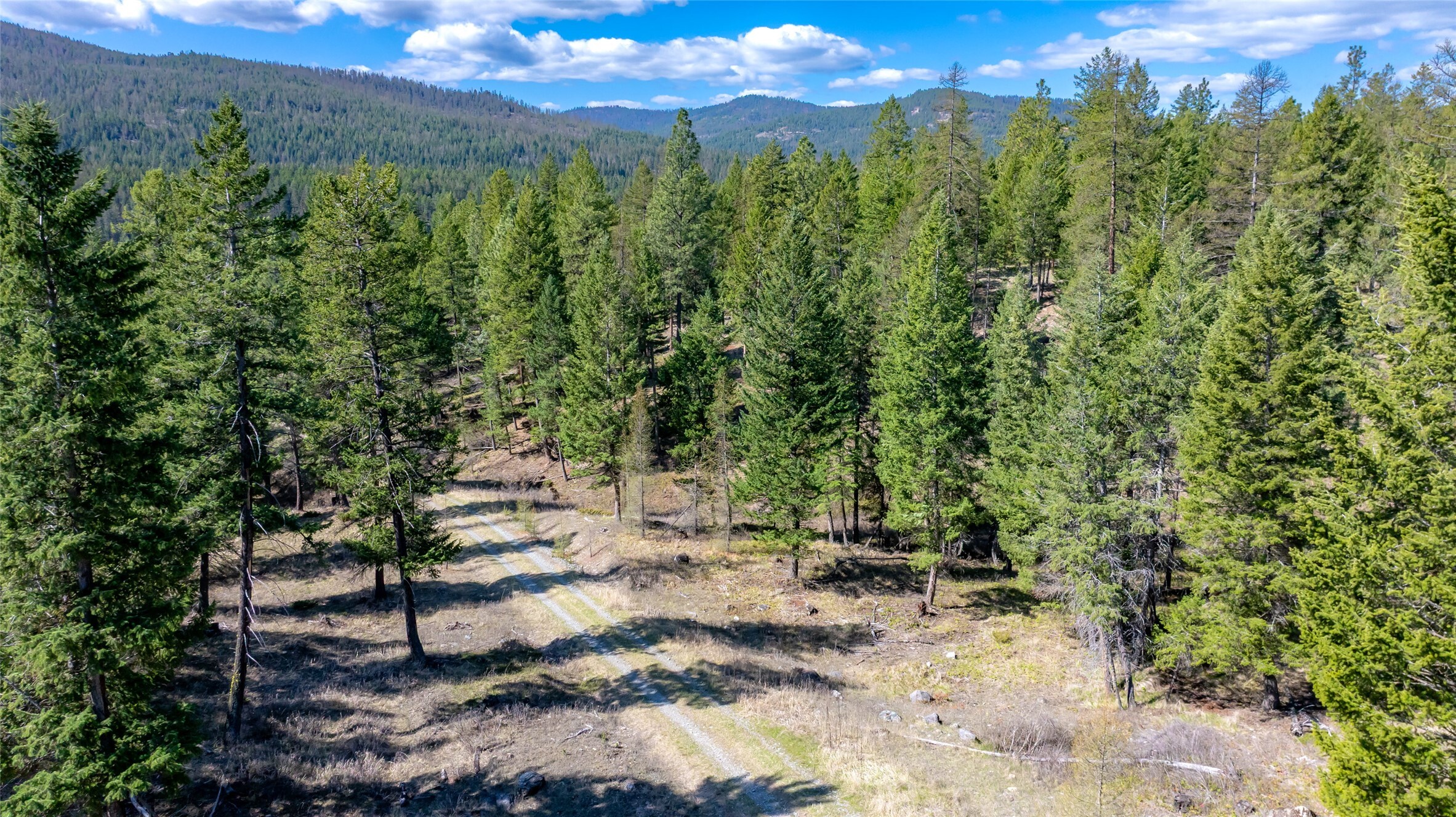 Property Photo: 380 Viano Lane MT 59901