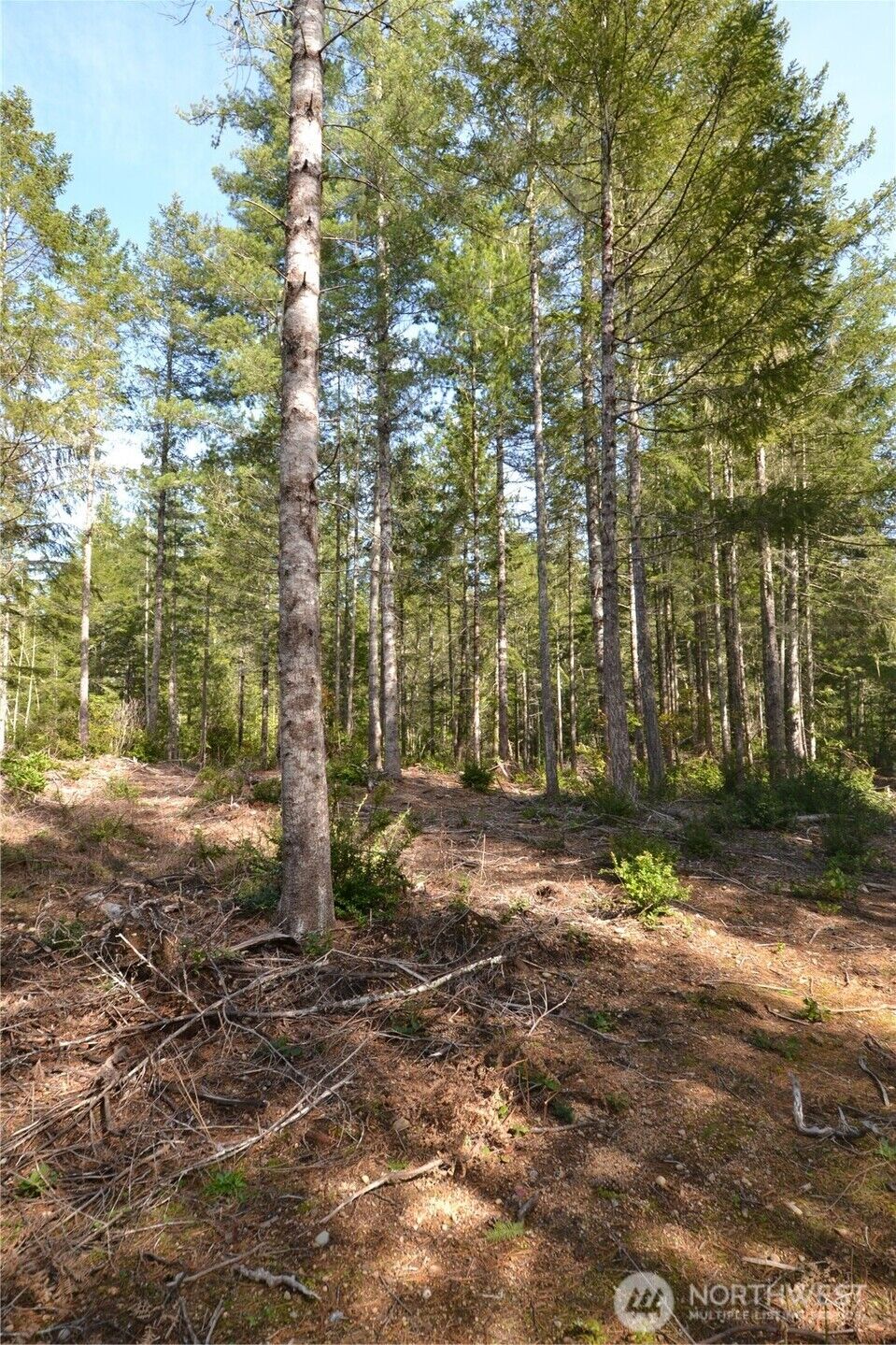 Property Photo: 0 Beal Place WA 98383