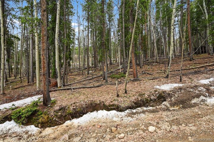 Property Photo:  Ute Trail  CO 80439 