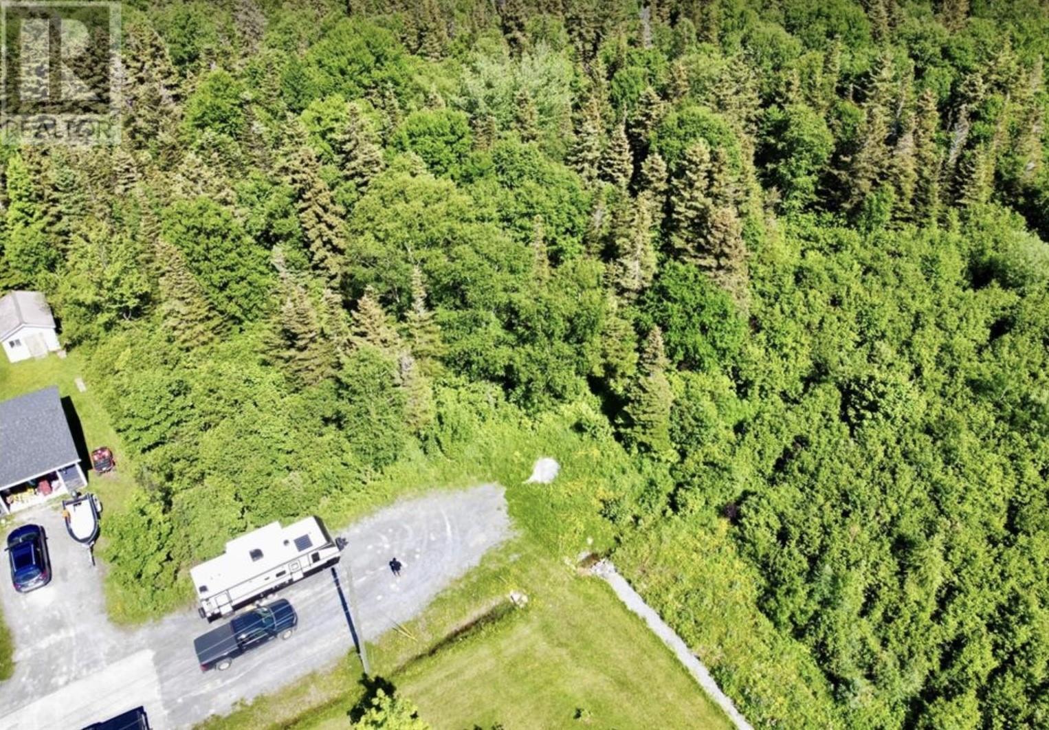 Property Photo:  21-35 Bishop Avenue  NL A2H 1K0 