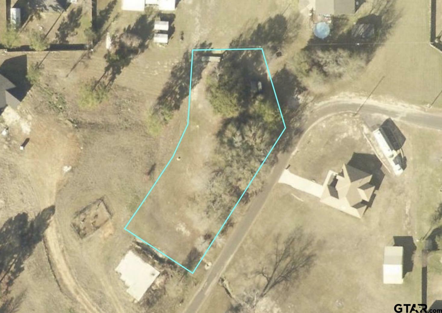 Property Photo: Tbd Loye Ln TX 75765