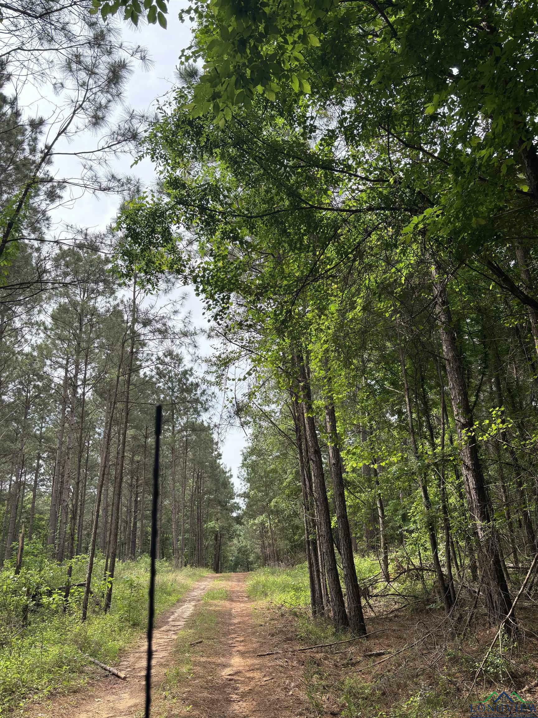 Property Photo: Private Road TX 75669