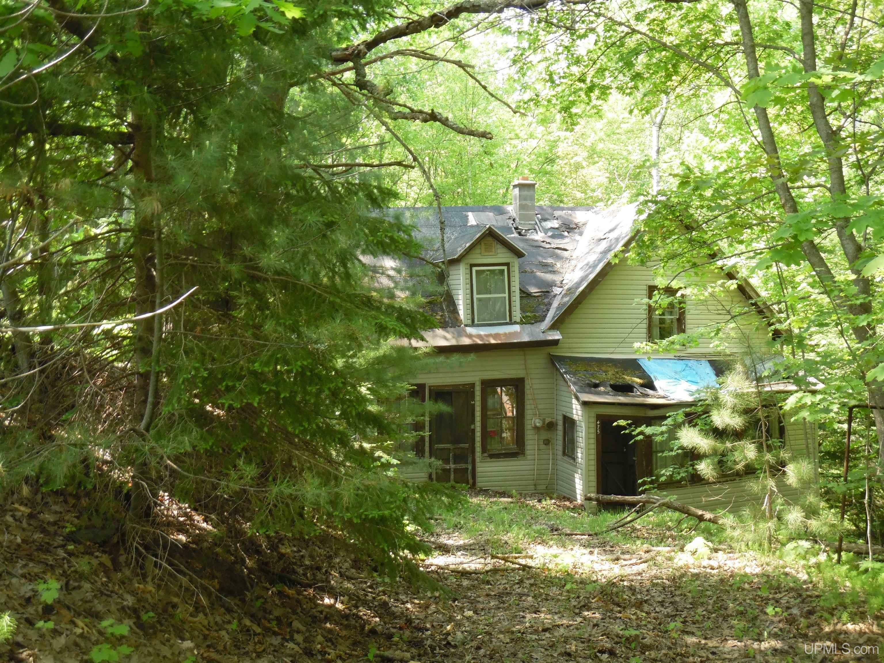 Property Photo:  475 Poplar Street  MI 49945 