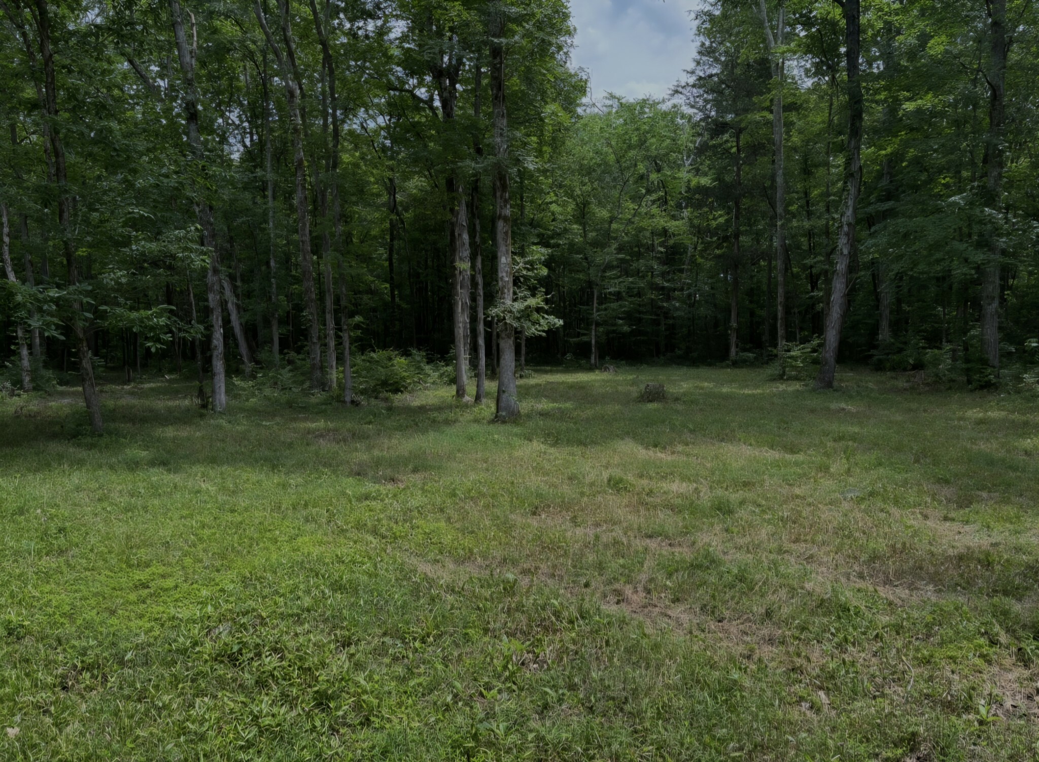 Property Photo: 2971 Ownby Rd TN 37091