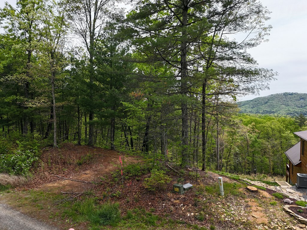 Property Photo: Lot 20 Crabapple Lane GA 30559